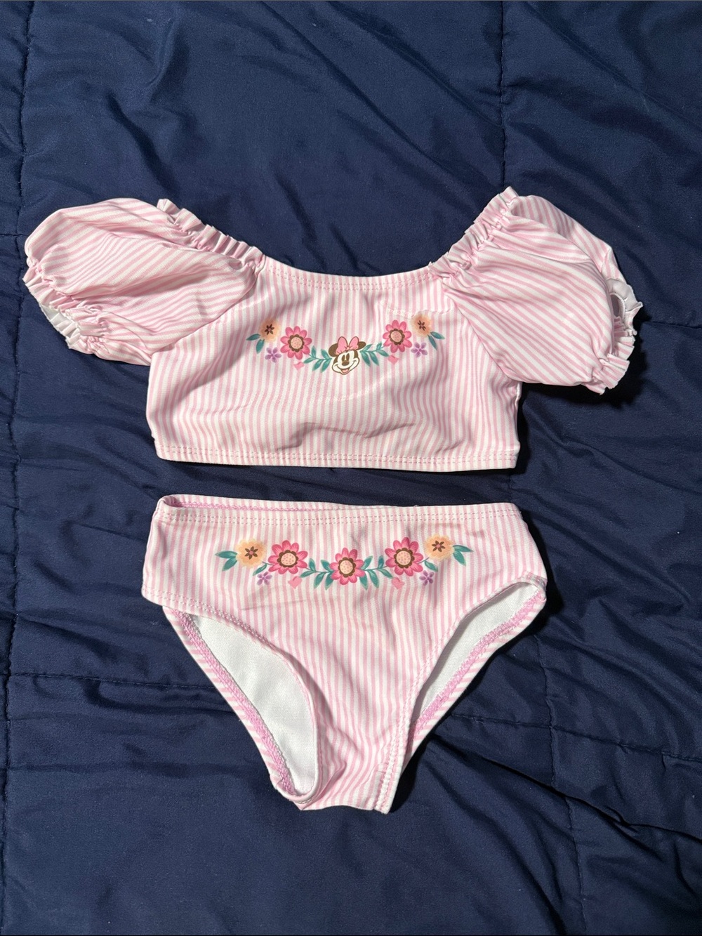 Disney Pink Striped Minnie Floral Two-Piece Bikini
